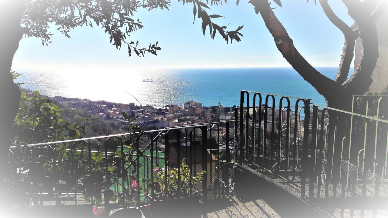 Bed and Breakfast La Casa Dei Limoni Janov Exteriér fotografie
