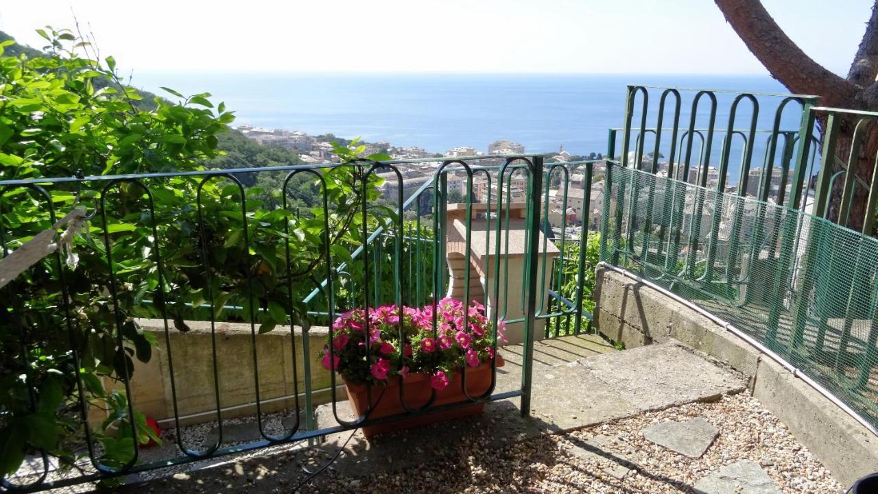Bed and Breakfast La Casa Dei Limoni Janov Exteriér fotografie